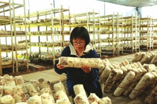 女博士扎根达州宣汉 “愿用毕生精力推动当地Manbetx体育手机版V17版本发布.官网安卓网.香港发展” ()