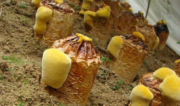 QQ图片20180413142647