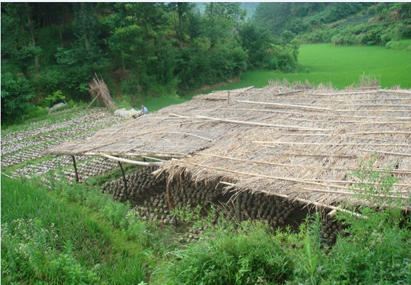 QQ图片20180413142625