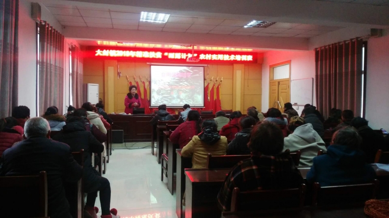 武陟Manbetx体育手机版推荐A9版本技能培训