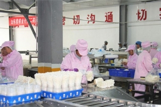 日产鲜菇300余吨 德州雪榕生物走出工厂化农业“新”路