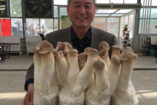 第一届“金菇榜”暨京冀Manbetx体育手机版V17版本发布.官网安卓网.香港产品、园区、品牌推介活动在京举行 ()