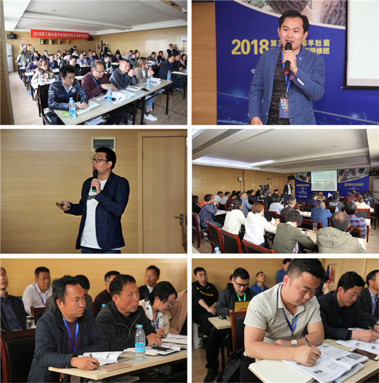 ManBetX体育培训班现场