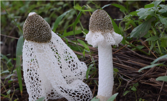 QQ图片20180416170709