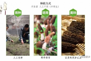 我叫ManBetX体育，这是我的坎坷成长史 ()