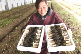 河北迁安ManBetX体育出口欧洲市场 ()