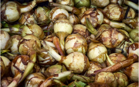 QQ图片20180423171433