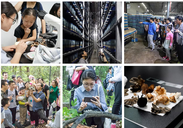 如意情&蘑菇采集