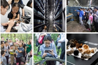 华裕新美·狮子山蘑菇科技文化节精彩纷呈 ()