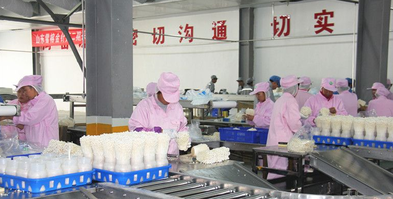 QQ截图20180425084526