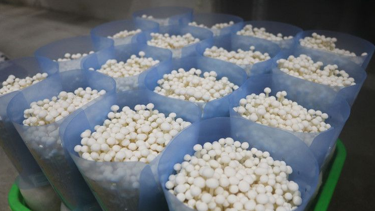 QQ截图20180425084516