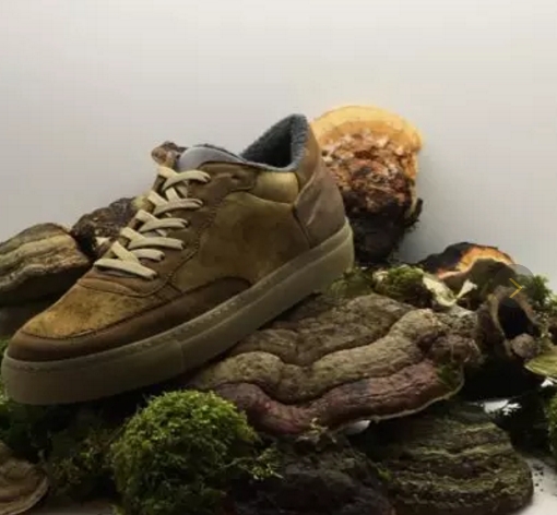 wangyt_c893fb53-72e2-4e8a-8825-f7dc3ed8d4bb