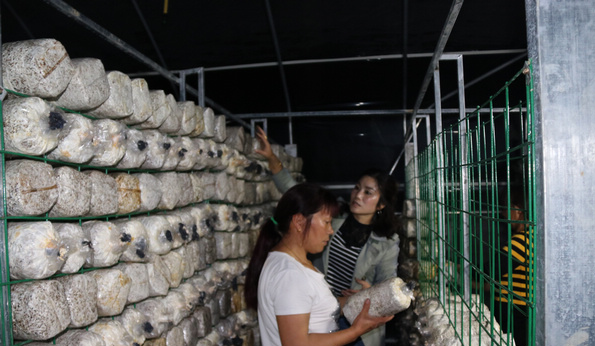 QQ截图20180508095329