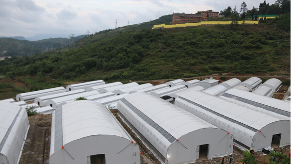 QQ截图20180508095455