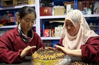 冬虫夏草进入采挖季 “鲜草”市场价格平稳 ()