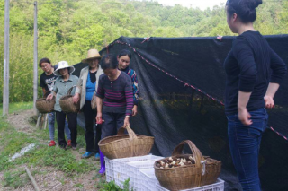 大山里走出的Manbetx体育手机版V17版本发布.官网安卓网.香港生产能手 ()