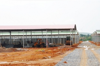 江华：总投资5000万 Manbetx体育手机版V17版本发布.官网安卓网.香港产业园初具规模 ()