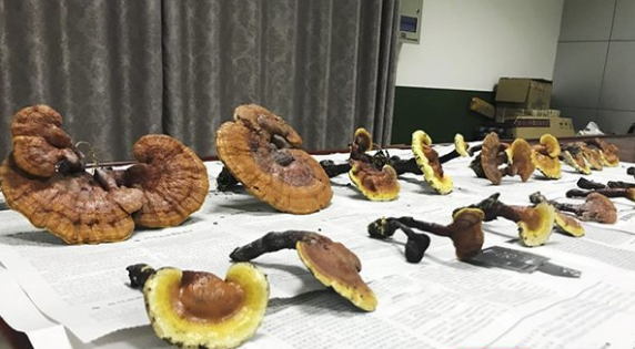 QQ截图20180515102015