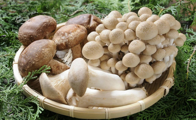 QQ截图20180515171217