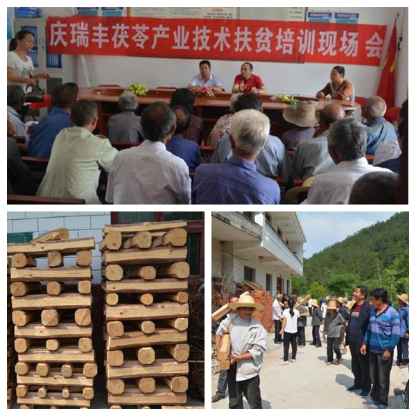 光影魔术手拼图111