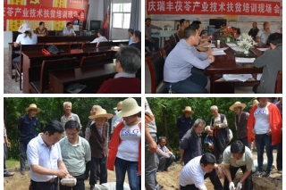 庆瑞丰公司茯苓产业技术培训助力脱贫攻坚 ()
