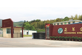 正茸科技挂牌新三板 主营瓶栽杏鲍菇的生产、销售 ()