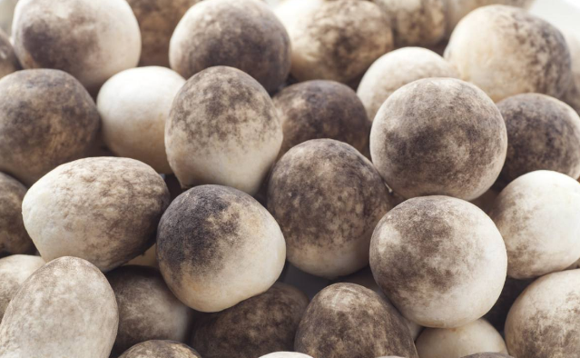 QQ截图20180521163744