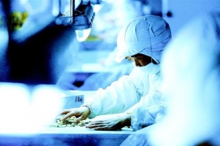 舞动农头勇当龙头——随州农产品加工产业转型升级 ()