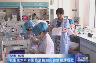 东宁市黑木耳检测实验室揭牌成立 ()