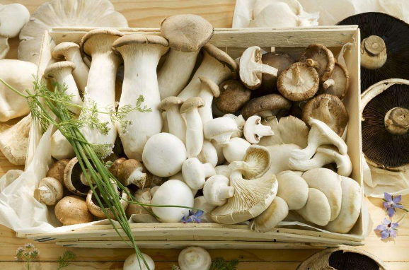 QQ截图20180523163221