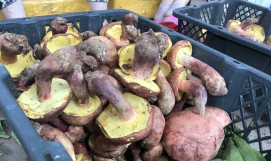 QQ截图20180525133939