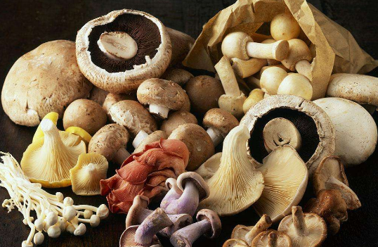 QQ截图20180530142835