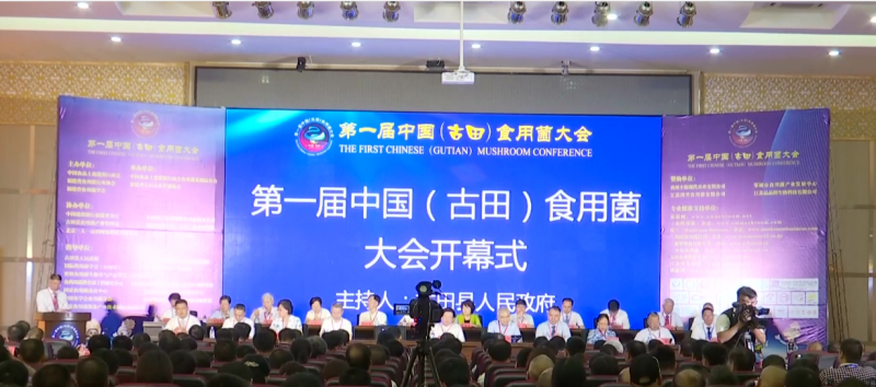 QQ截图20180530163601