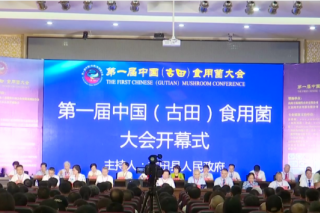 福建日报：第一届中国Manbetx体育手机版推荐A9版本大会昨日在古田开幕 ()