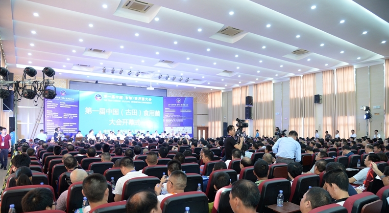 QQ截图20180531100208