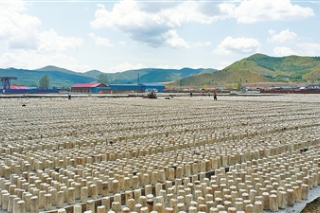 宁波两大菌包厂帮扶项目在延边州投产 ()