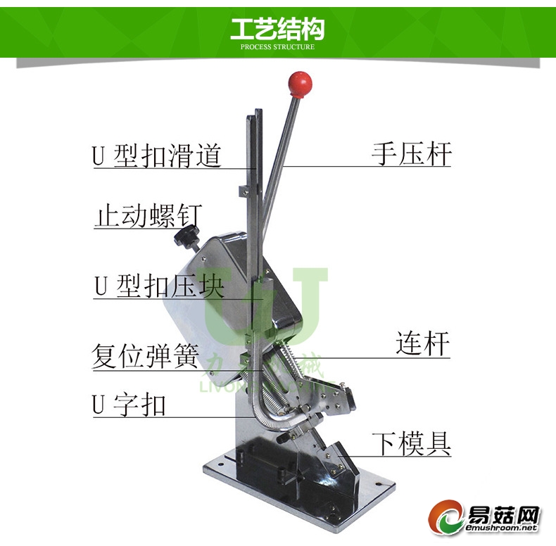 4322384995_418949725