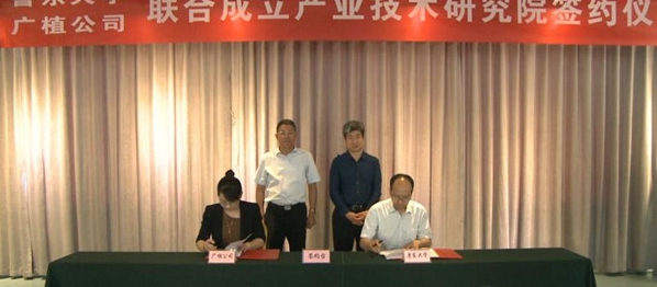 00300453717_ae64722e