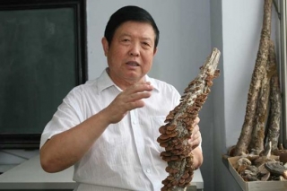 把论文写在大地上　记吉林农业大学植物保护科研创新团队 ()