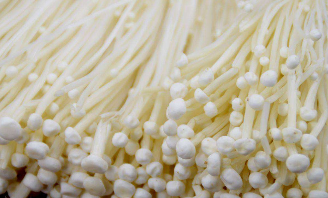 QQ截图20180613165425