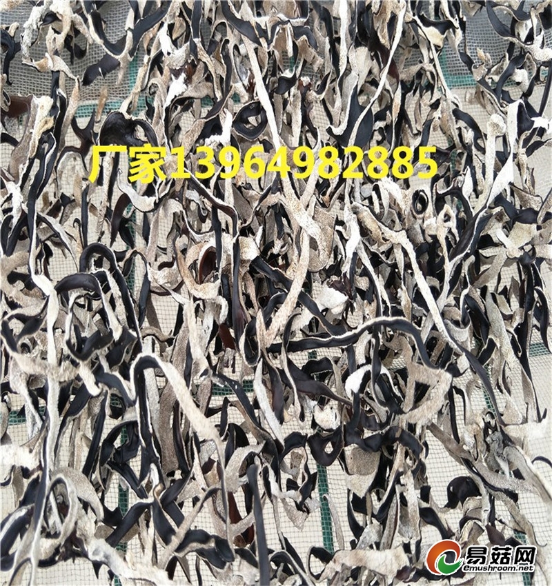 IMG20170922160357_副本_副本