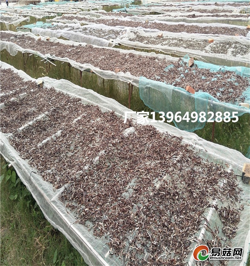 IMG20170922160150_副本