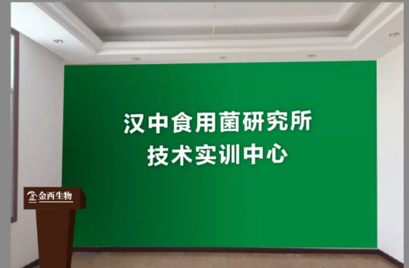 QQ截图20180619084624