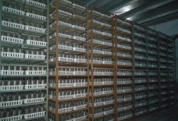 QQ截图20180619084654