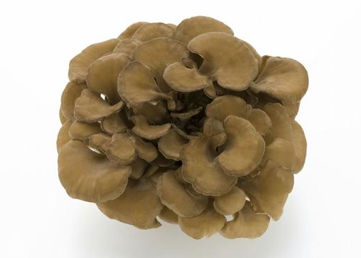 QQ截图20180619165650