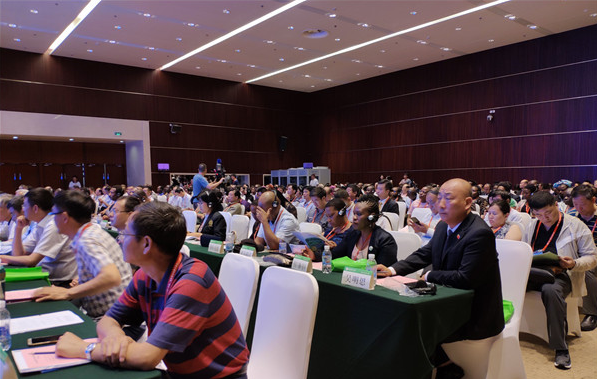 QQ截图20180620100046