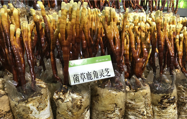 QQ截图20180620100057