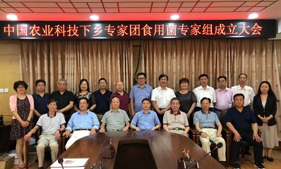 微信图片_20180620143246