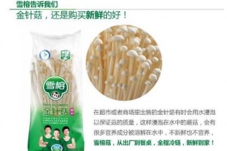 种植金针菇一年能卖10万吨，销售网络遍布全国