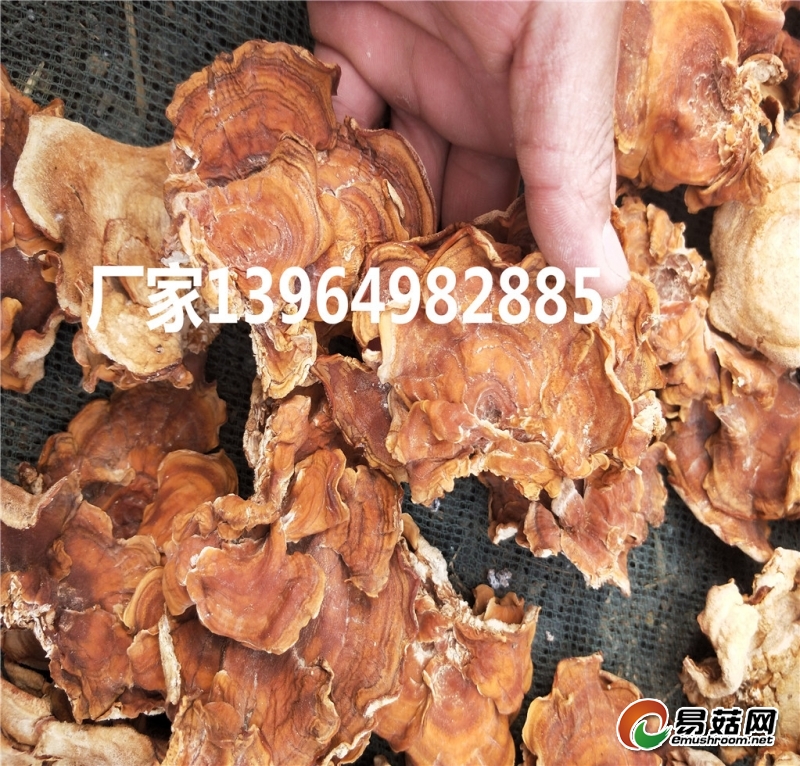 20180421092487590_副本